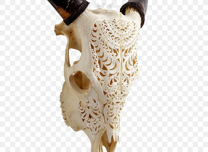 Skull XL Horns Forehead Animal, PNG, 600x600px, Skull, Animal, Artifact, Balinese People, Bone Download Free
