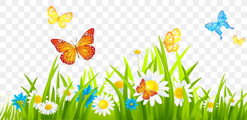 Flower Clip Art, PNG, 3000x1463px, Flower, Brush Footed Butterfly, Butterfly, Document, Flowering Plant Download Free