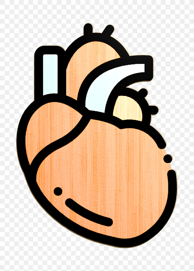 Heart Icon Cardiovascular Icon Biology Icon Png 886x1238px Heart