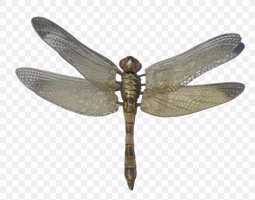 Insect Dragonfly Clip Art, PNG, 1024x804px, Insect, Arthropod, Damselflies, Dragonfly, Insect Wing Download Free