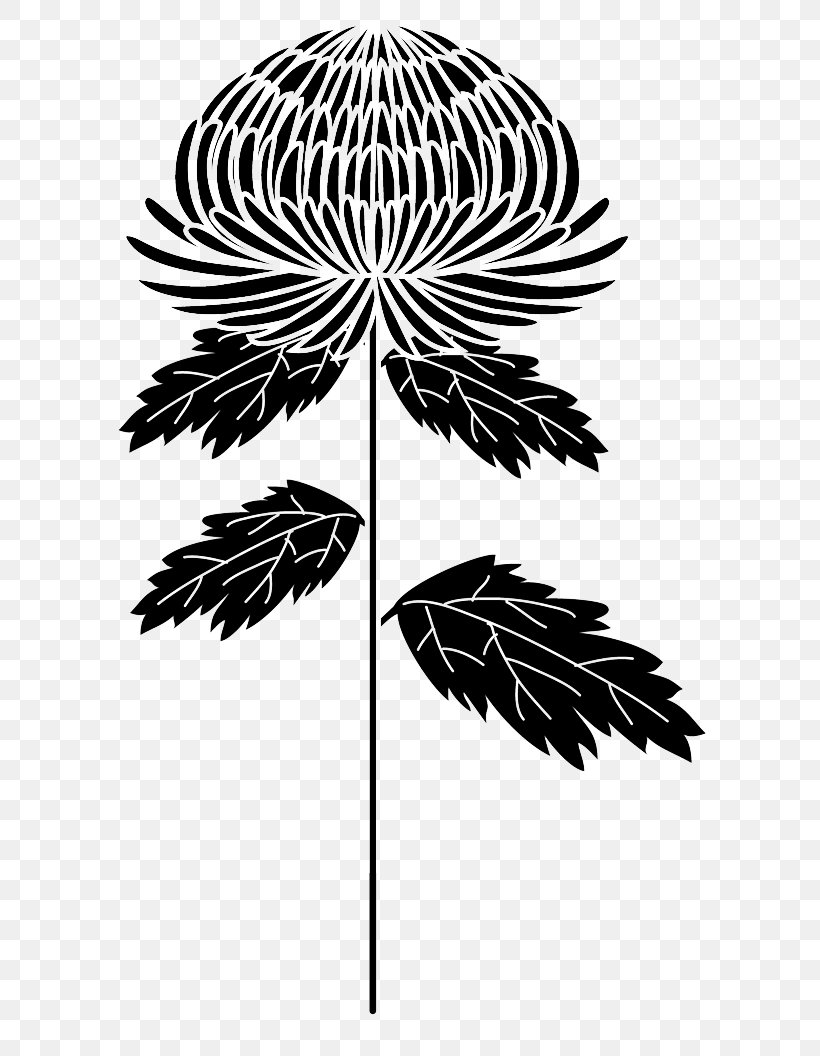 Palm Trees Pattern Post Cards Symmetry Illustration, PNG, 649x1056px, Palm Trees, Arecales, Blackandwhite, Botany, Feather Download Free