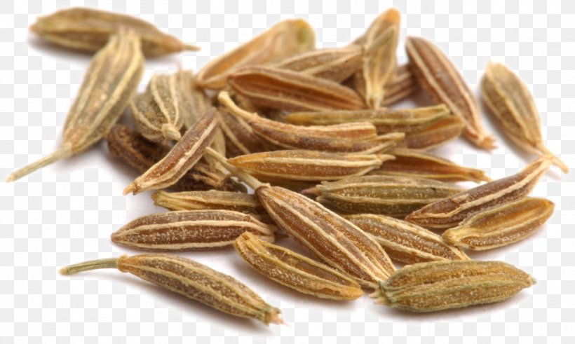 Cumin Tea Spice Plant Coriander, PNG, 1468x880px, Cumin, Anise, Black Pepper, Cardamom, Cereal Germ Download Free