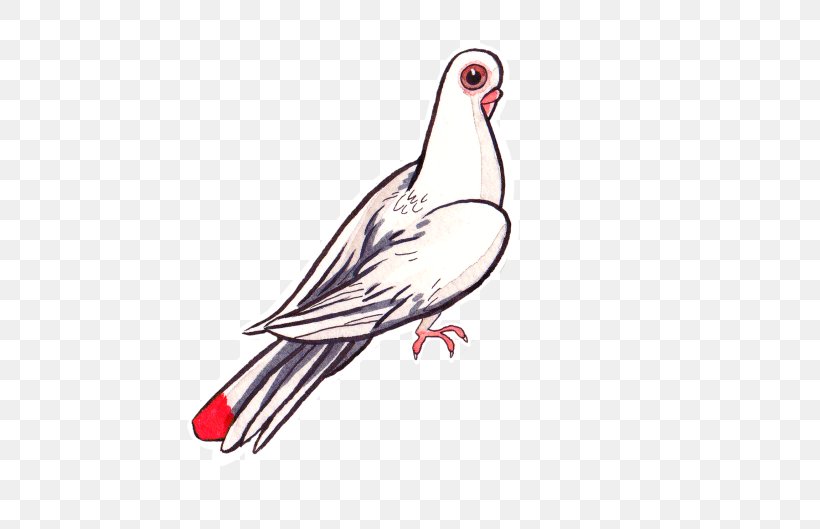 Goose Cygnini Water Bird Duck /m/02csf, PNG, 500x529px, Goose, Art, Beak, Bird, Chicken Download Free