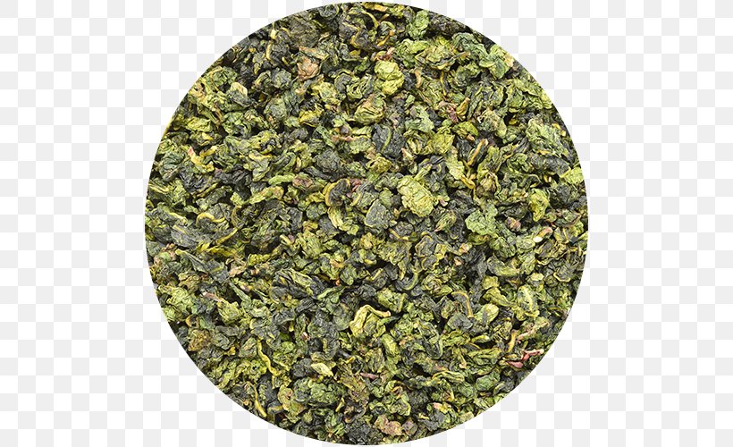 Green Tea Hibiscus Tea Herbal Tea Oolong, PNG, 500x500px, Tea, Biluochun, Caffeine, Camellia Sinensis, Darjeeling Tea Download Free