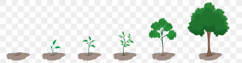 Plant Tree Clip Art, PNG, 1500x391px, Plant, Branch, Grass, Green, Leaf Download Free