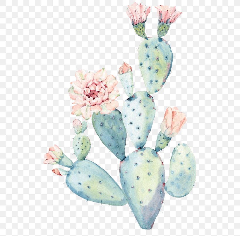 Cactus Watercolor Painting Pastel Art, PNG, 804x804px, Cactus, Art, Artist, Color, Drawing Download Free