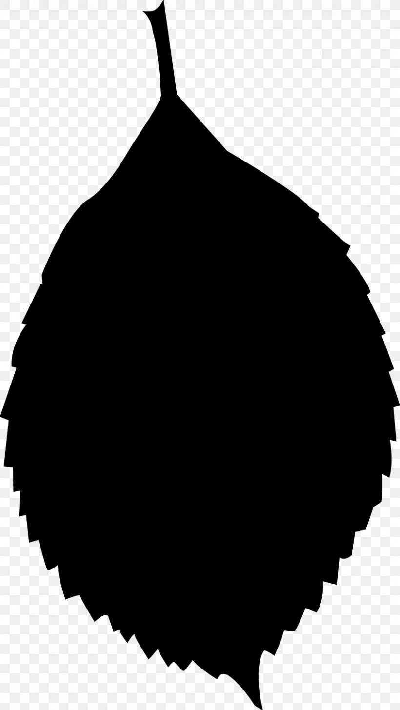 Leaf Silhouette Photography, PNG, 845x1500px, Leaf, Black, Black And White, Drawing, Leaf Shape Download Free