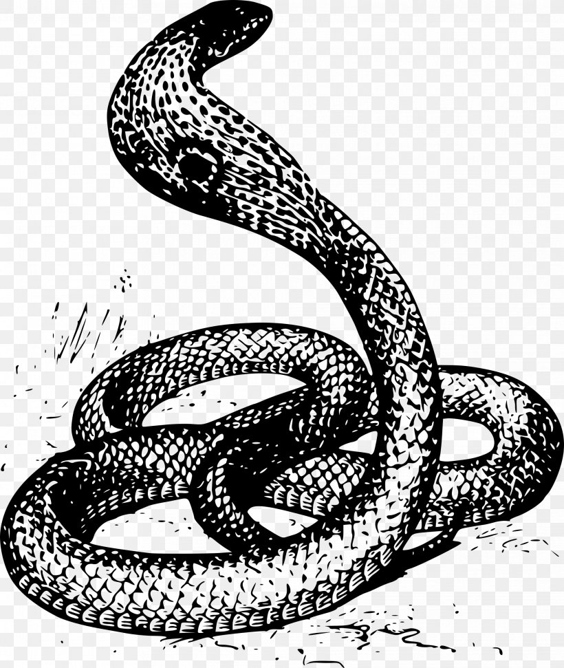 Snake Drawing Cobra Clip Art, PNG, 2026x2400px, Snake, Art, Black And White, Boa Constrictor, Boas Download Free