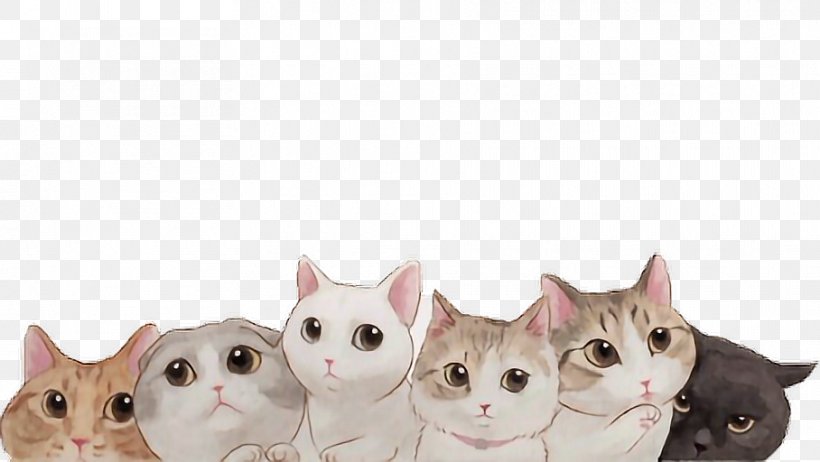 Cat Bell Collar Kitten Sticker, PNG, 908x512px, Cat, Carnivoran, Cat Bell, Cat Like Mammal, Collar Download Free