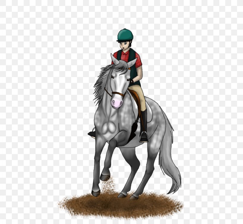 English Riding Stallion Rein Mustang Endurance Riding, PNG, 1024x945px, English Riding, Animal Sports, Bridle, Endurance Riding, Equestrian Download Free