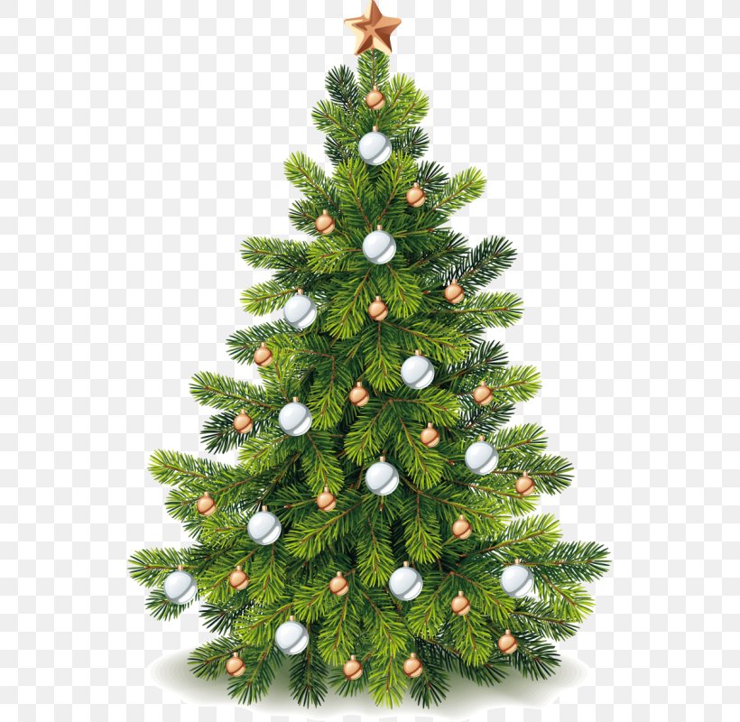 Christmas Tree Christmas Ornament Pine, PNG, 537x800px, Christmas Tree, Birthday, Christmas, Christmas Decoration, Christmas Gift Download Free
