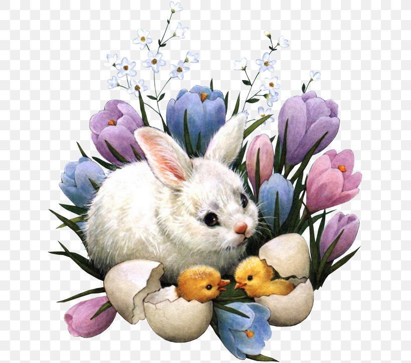 Easter Bunny Happy Easter! Easter Egg Christmas, PNG, 631x725px, Easter Bunny, Christmas, Domestic Rabbit, Easter, Easter Egg Download Free