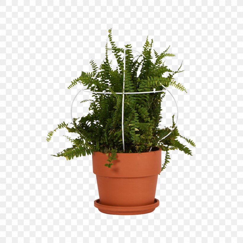 Flowerpot Vase Crock Houseplant Garden, PNG, 928x928px, Flowerpot, Crock, Equisetum, Evergreen, Fern Download Free