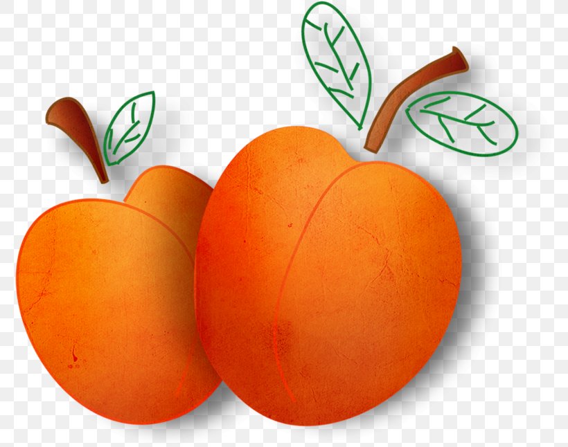 Orange Fruit Vegetable Fruit Vegetable, PNG, 778x646px, Orange, Apricot, Armenian Plum, Berries, Food Download Free