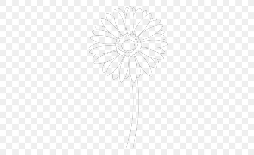 Transvaal Daisy Cut Flowers Petal Chrysanthemum, PNG, 500x500px, Transvaal Daisy, Allegro, Black And White, Chrysanthemum, Cut Flowers Download Free