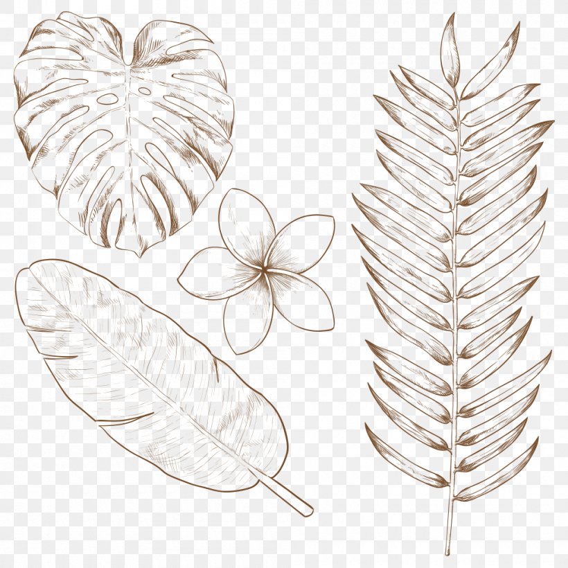 Tropics Drawing Leaf, PNG, 1000x1000px, Tropics, Drawing, Feather, Leaf, Plant Download Free
