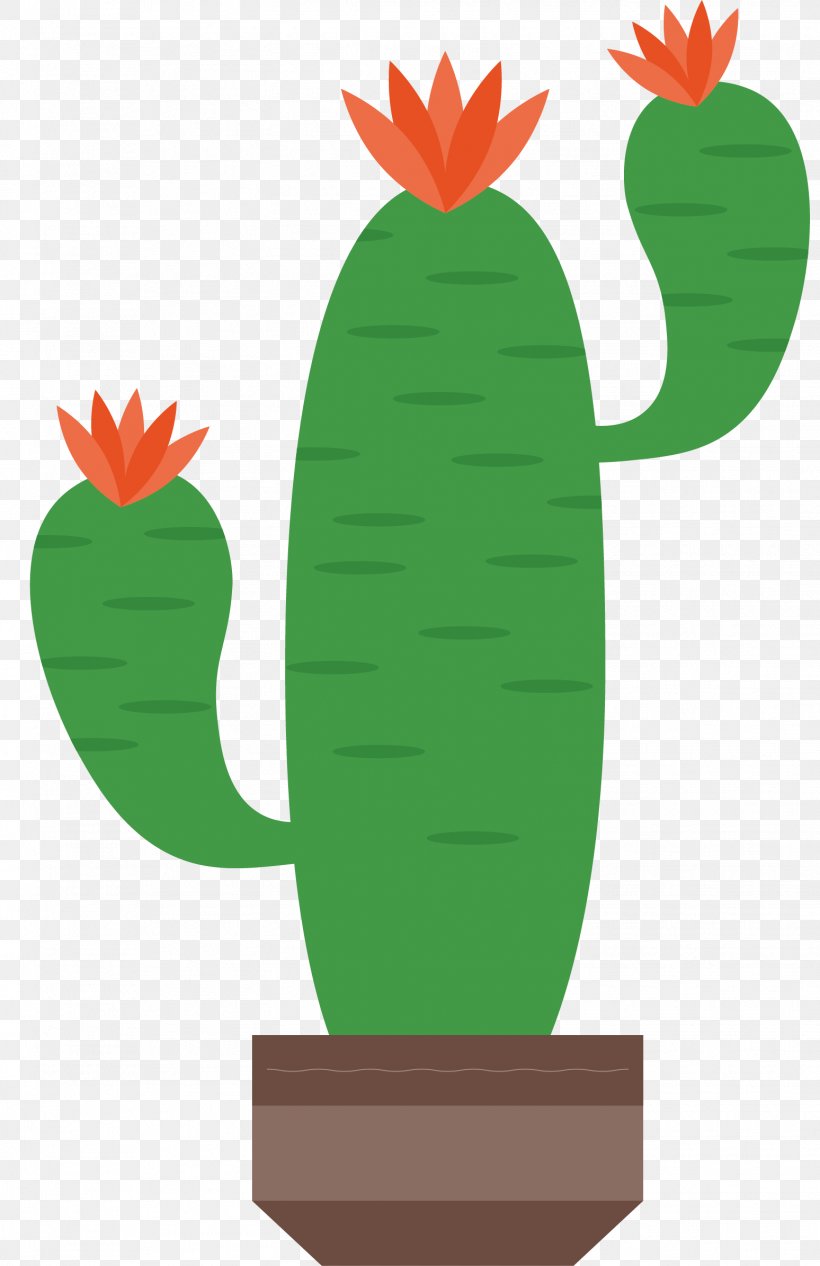 Cactaceae ArtWorks Illustration, PNG, 1548x2390px, Cactaceae, Artworks, Cactus, Caryophyllales, Diagram Download Free