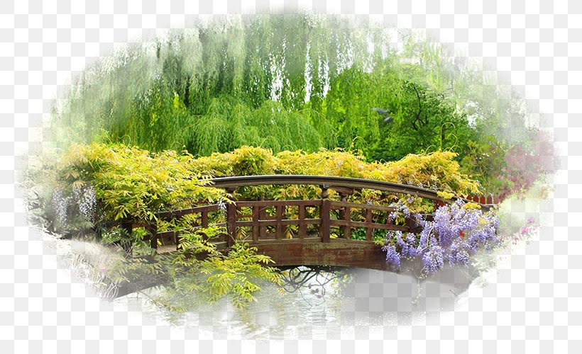 Desktop Wallpaper Flower Garden Gardens Images Landscaping, PNG, 800x500px, Garden, Computer, Display Resolution, Fence, Flora Download Free