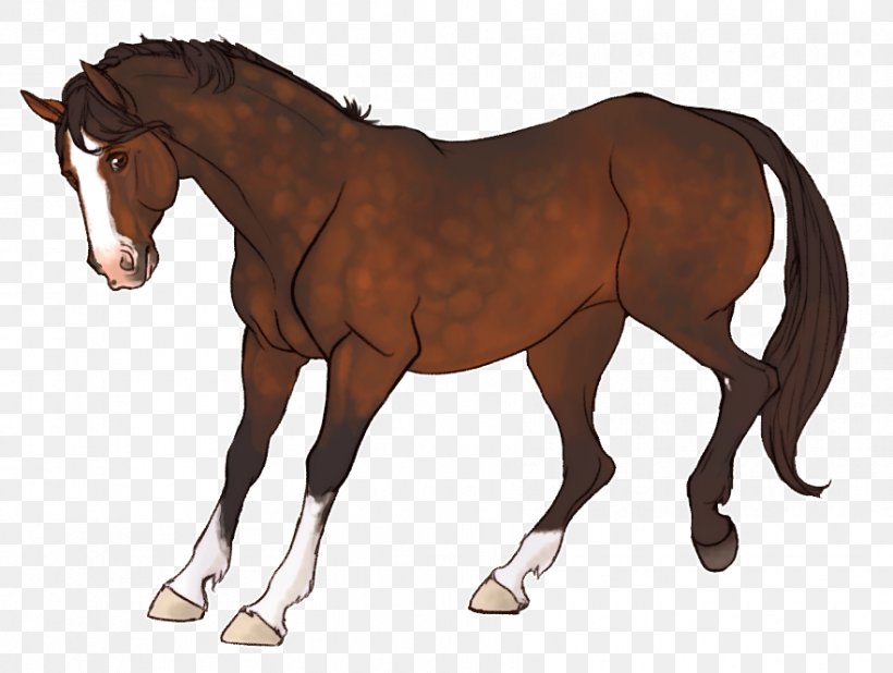 Foal Horse Mane Pony Rein, PNG, 881x664px, Foal, Animal Figure, Bridle, Colt, English Riding Download Free