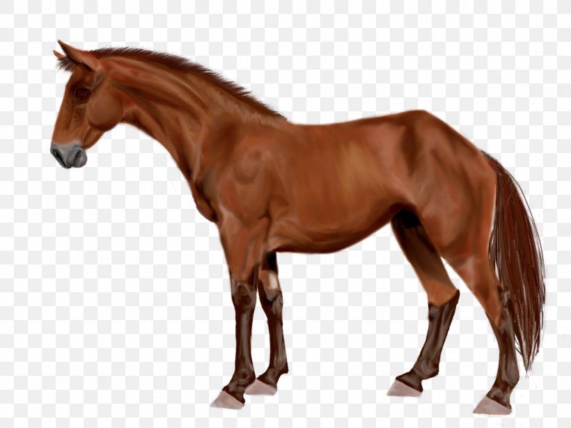Mare Arabian Horse Stallion Australian Stock Horse Mustang, PNG, 1024x768px, Mare, Animal Figure, Arabian Horse, Australian Stock Horse, Bay Download Free
