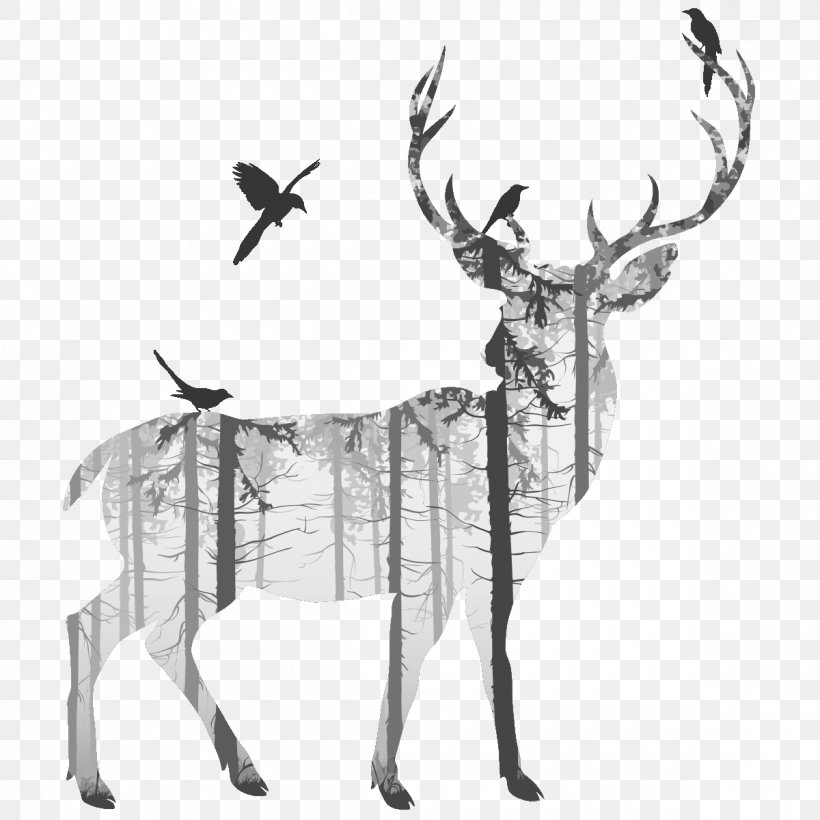 Deer Silhouette Drawing Photography, PNG, 1200x1200px, Deer, Antler, Art, Black And White, Canvas Download Free