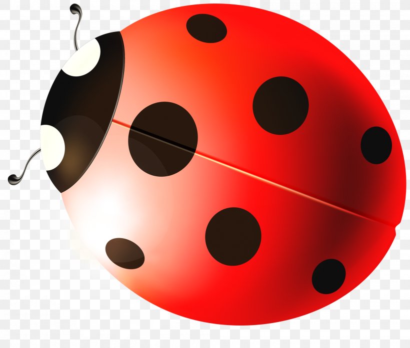 Ladybird Beetle, PNG, 2000x1700px, Ladybird, Beetle, Cartoon, Coccinella Septempunctata, Designer Download Free