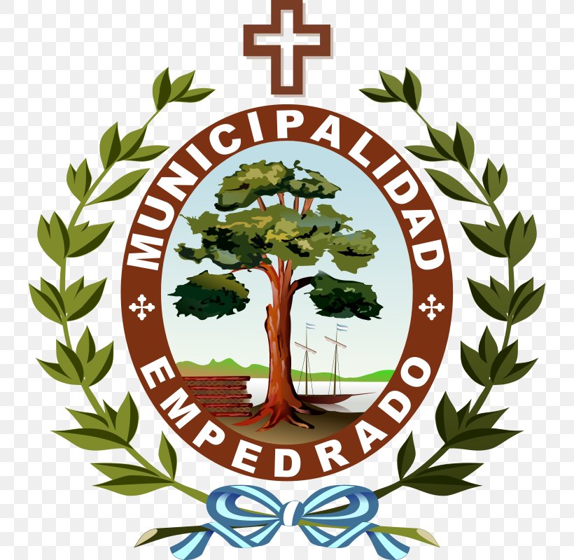 Municipality Of Empedrado Estación Torrent Organization Clip Art, PNG, 748x800px, Organization, Argentina, Corrientes Province, Flower, Flowering Plant Download Free