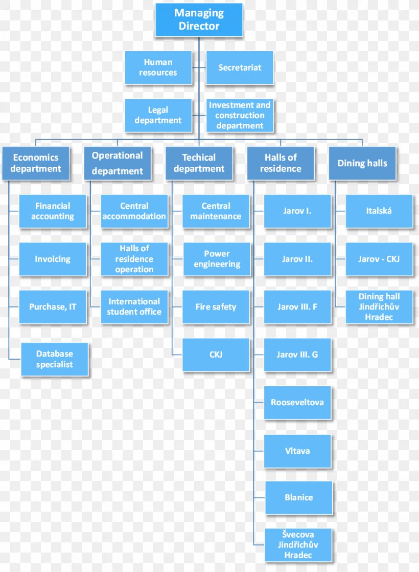 Organizational Chart Organizational Structure Company Management, PNG ...