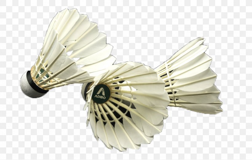 Badminton Net Icon, PNG, 1024x651px, Badminton, Feather, Product Design, Sport, White Download Free
