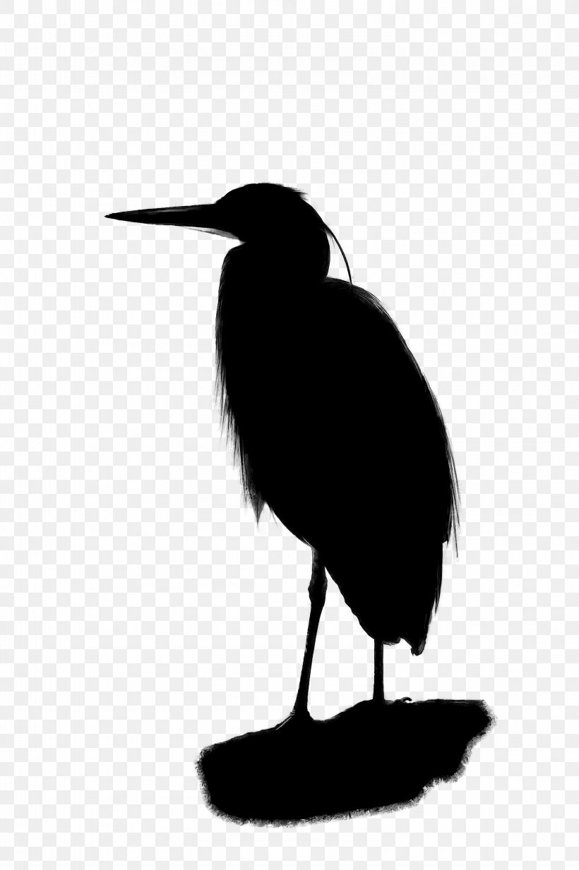 Beak Fauna Silhouette Neck, PNG, 3192x4800px, Beak, Art, Bird, Cranelike Bird, Egret Download Free