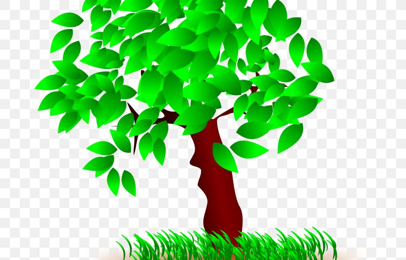 Clip Art Tree Image Free Content, PNG, 700x525px, Tree, Arbor Day, Botany, Flower, Green Download Free