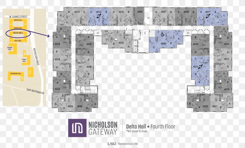 Floor Plan Nicholson Gateway Apartments House LSU Residential Life, PNG, 4200x2550px, Floor Plan, Apartment, Area, Building, Hall Download Free
