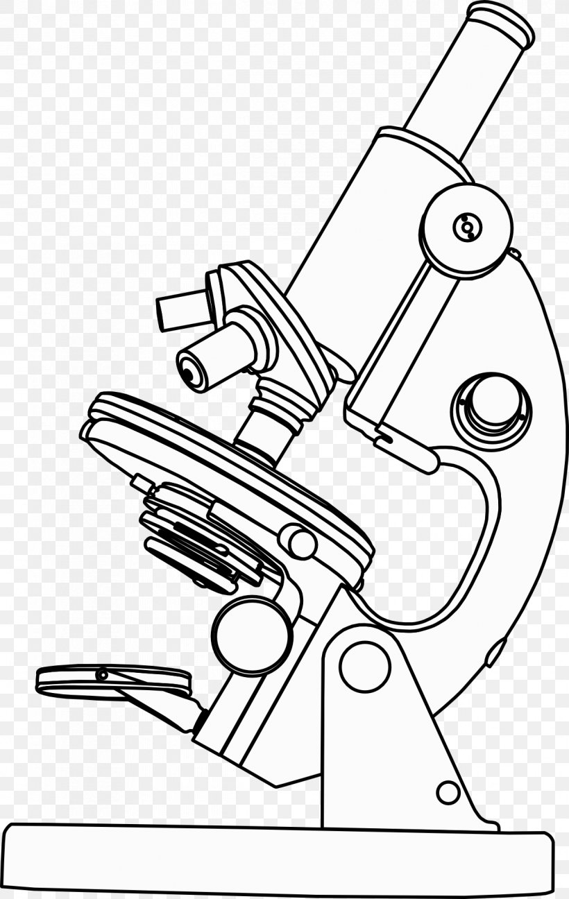 Optical Microscope Black And White Clip Art, PNG, 1214x1920px, Microscope, Area, Art, Artwork, Auto Part Download Free