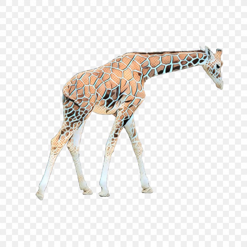 Northern Giraffe Image Desktop Wallpaper, PNG, 1500x1500px, Northern Giraffe, Animal, Animal Figure, Drawing, Fawn Download Free