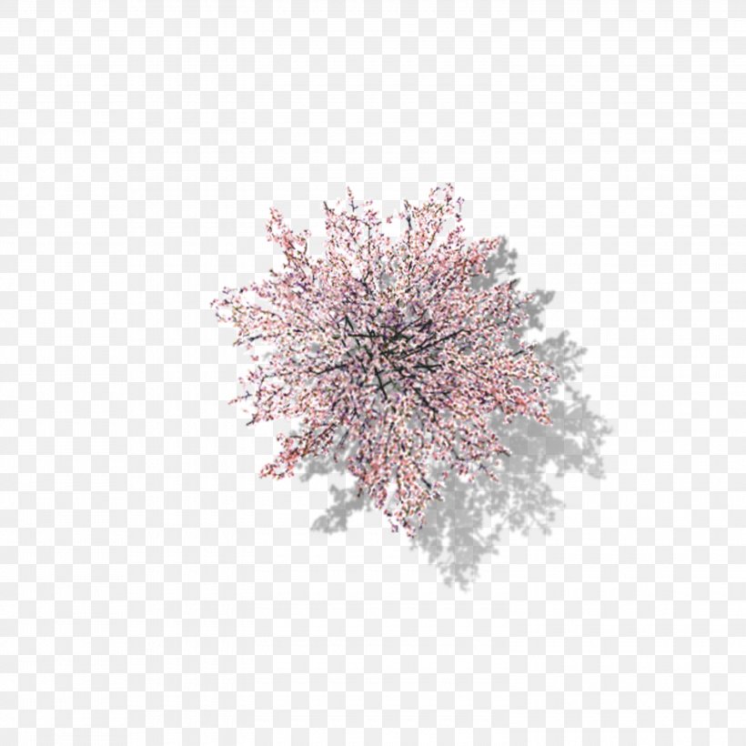 Tree Download Computer File, PNG, 3000x3000px, Cherry Blossom, Cherry