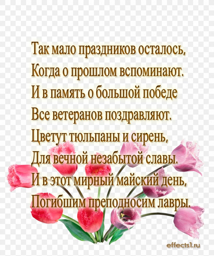 Victory Day Great Patriotic War Verse Maya Civilization Holiday, PNG, 1000x1200px, Victory Day, Cut Flowers, Flora, Floral Design, Floristry Download Free