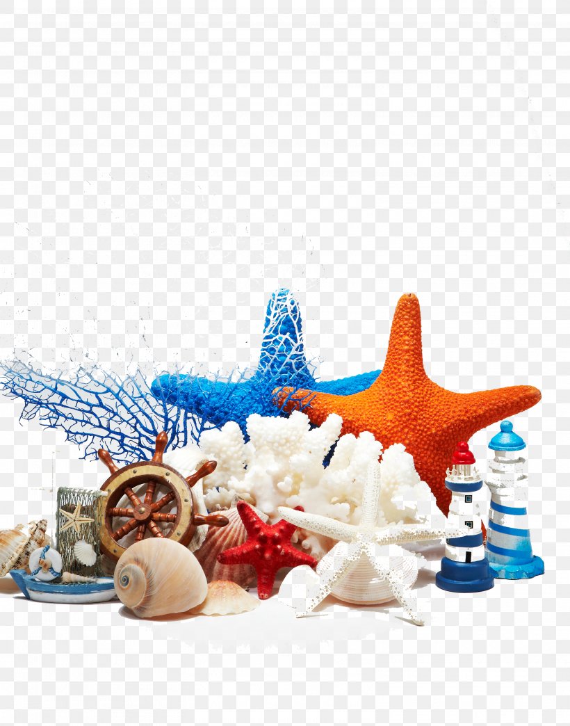 Beach Sea, PNG, 3135x3993px, Beach, Advertising, Fundal, Marine Invertebrates, Poster Download Free