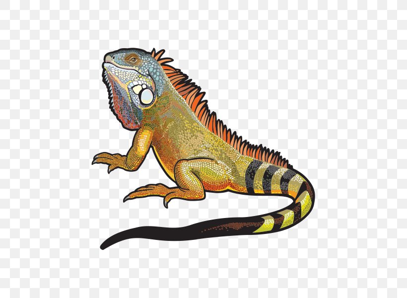 Lizard Green Iguana Vector Graphics Royalty-free Clip Art, PNG, 600x600px, Lizard, Amphibian, Animal Figure, Common Iguanas, Dinosaur Download Free