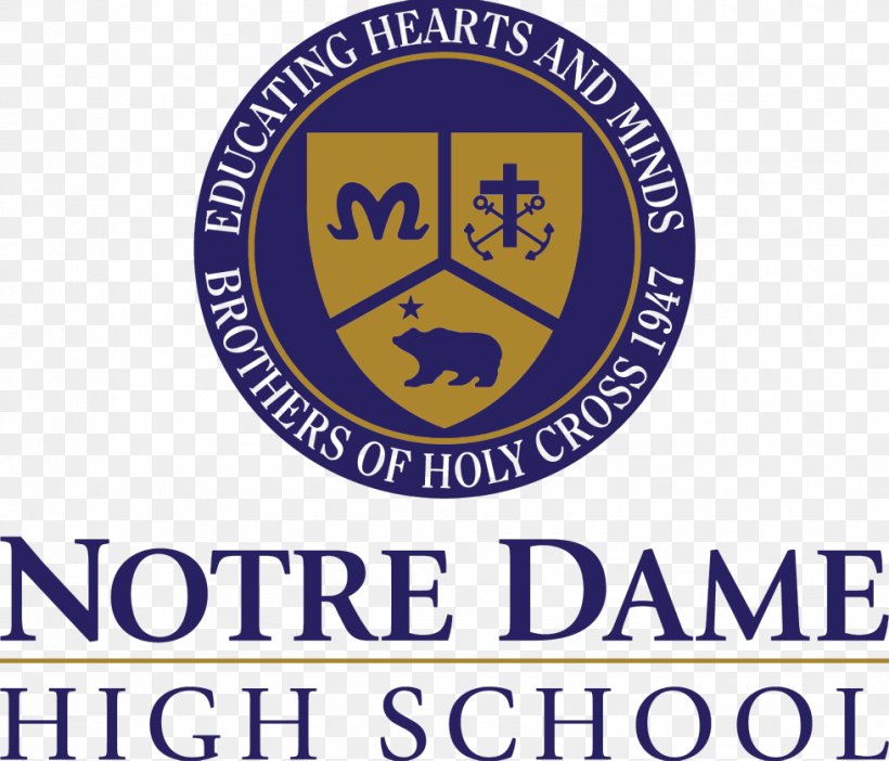 Notre Dame School Organization Education Giant Thinkwell, Inc., PNG, 979x839px, Organization, Area, Brand, Education, Giant Thinkwell Inc Download Free