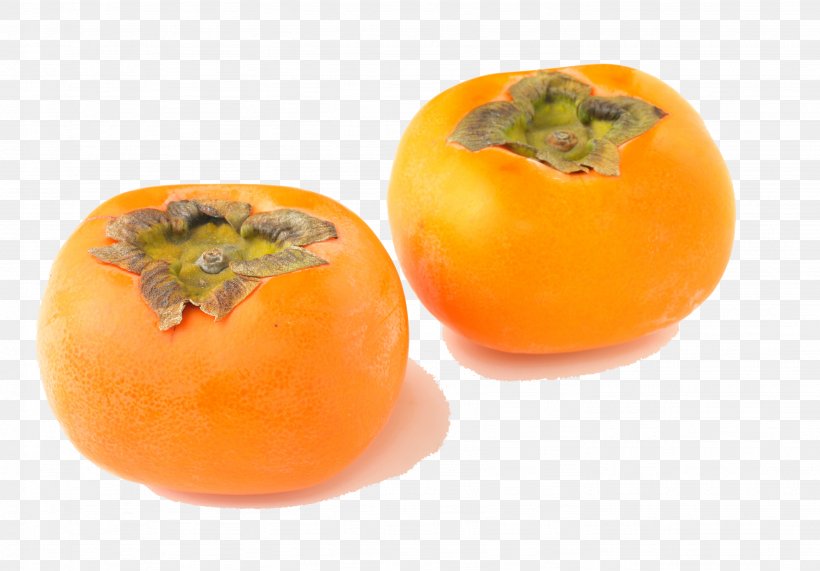 Persimmon Fruit Food, PNG, 2872x2000px, Persimmon, Auglis, Designer, Diospyros, Ebony Trees And Persimmons Download Free
