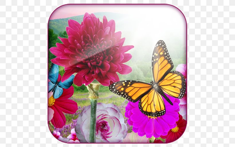 Monarch Butterfly Android Papasan Chair Flower, PNG, 512x512px, Monarch Butterfly, Android, App Store, Brush Footed Butterfly, Butterfly Download Free
