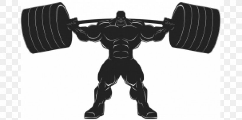 Bodybuilding Barbell Olympic Weightlifting Fitness Centre, PNG, 1000x498px, Bodybuilding, Barbell, Black, Dumbbell, Exercise Download Free