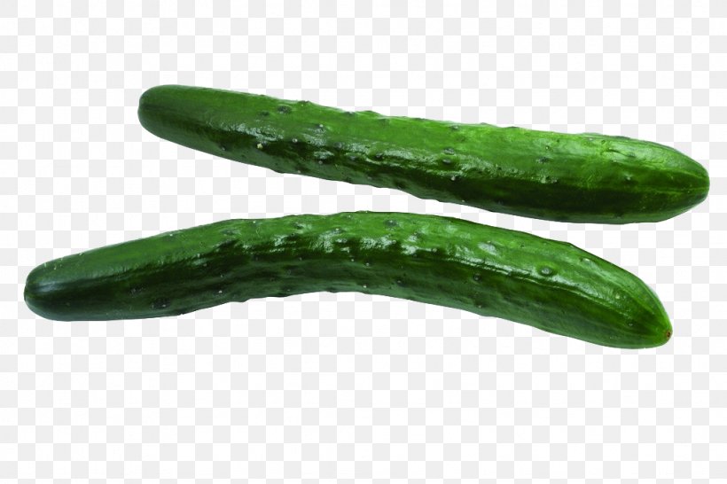 Cucumber Vegetable Food Bitter Melon Ingredient, PNG, 1024x683px, Cucumber, Bitter Melon, Cucumber Gourd And Melon Family, Cucumis, Eating Download Free