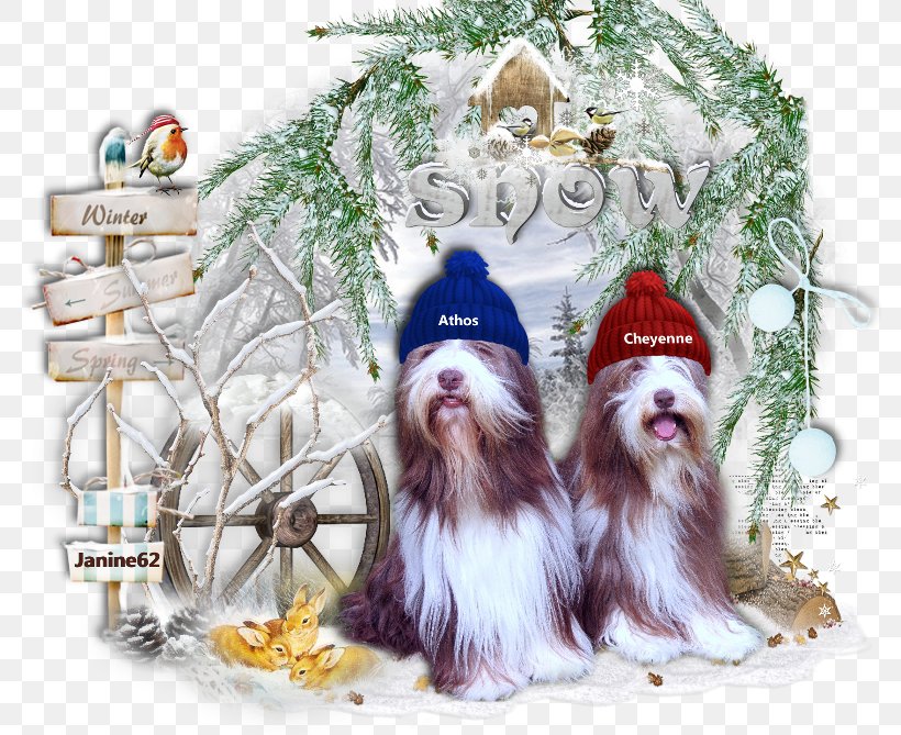 Dog Breed Shih Tzu Christmas Ornament Christmas Tree, PNG, 800x669px, Dog Breed, Breed, Carnivoran, Christmas, Christmas Decoration Download Free