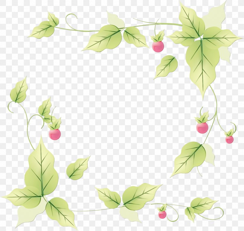 Ivy Background, PNG, 1528x1446px, Picture Frames, Branch, Flower, Houseplant, Ivy Download Free
