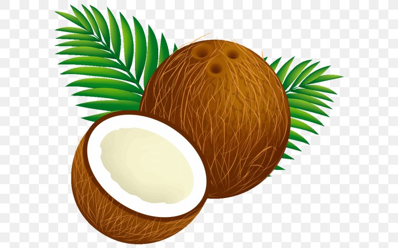 Palm Tree, PNG, 1280x800px, Coconut, Arecales, Attalea Speciosa, Food, Fruit Download Free