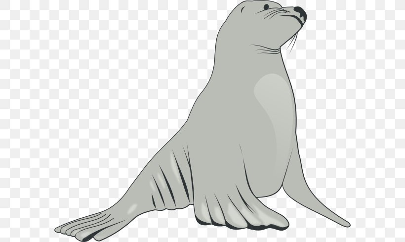 Sea Lion Cartoon Clip Art, PNG, 600x489px, Sea Lion, Animal Figure, Art,  Beak, Bear Download Free