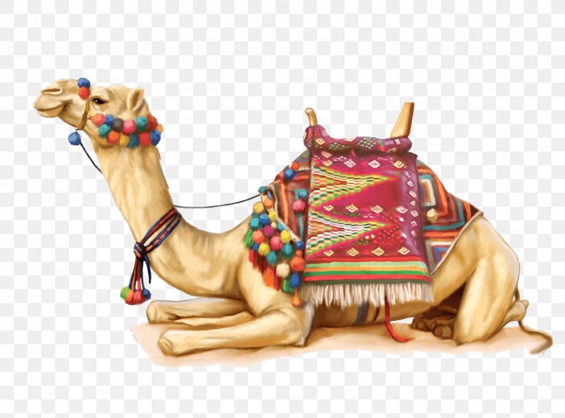 Bactrian Camel Dromedary Clip Art, PNG, 1684x1247px, Bactrian Camel, Arabian Camel, Camel, Camel Like Mammal, Desert Download Free