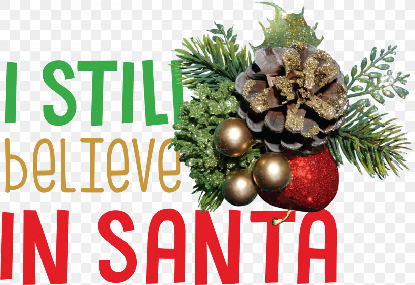 Believe In Santa Santa Christmas, PNG, 3000x2061px, Believe In Santa, Black, Christmas, Christmas Day, Christmas Holiday Home Accents Download Free