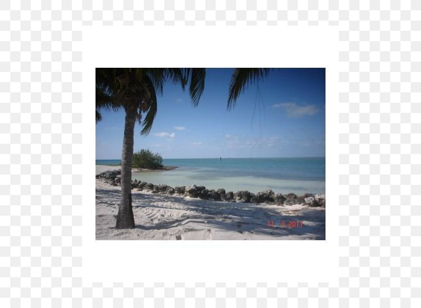 Caribbean Sea Beach Coast Ocean, PNG, 800x600px, Caribbean, Beach, Coast, Coastal And Oceanic Landforms, Inlet Download Free